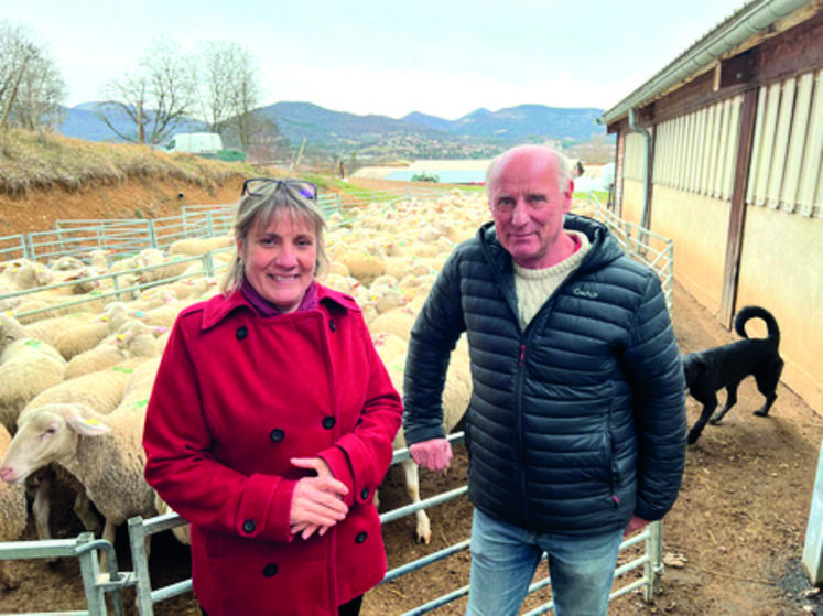 Laurence Isnard-Aubert, directrice adjointe du lycée et François Demarquet, directeur de l'exploitation du lycée agricole de Carmejane dans les Alpes de Haute-Provence devant un troupeau de brebis.