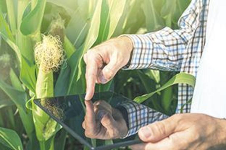 Avec Piloter sa Ferme, les agriculteurs accèdent rapidement aux tendances des marchés.