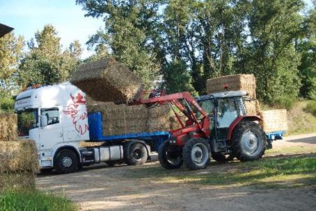 En période de récolte des céréales d’automne, la paille pourrait manquer