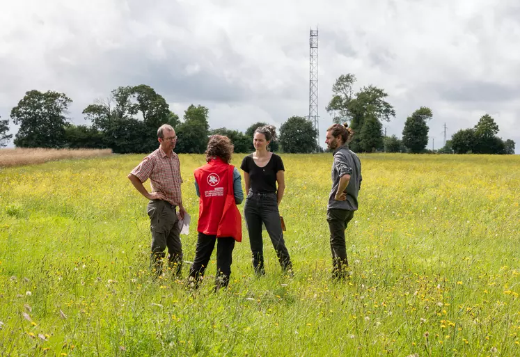 groupe de quatre personnes discutant dans une prairie