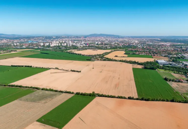 plusieurs champs avec la ville en arrière-plan