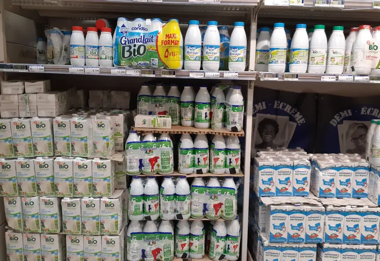 rayon lait bio dans une grande surface