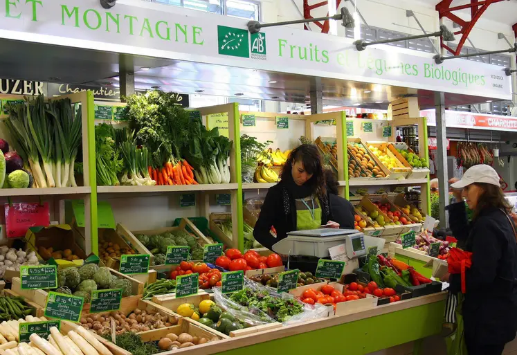 rayon fruits et légumes bio
