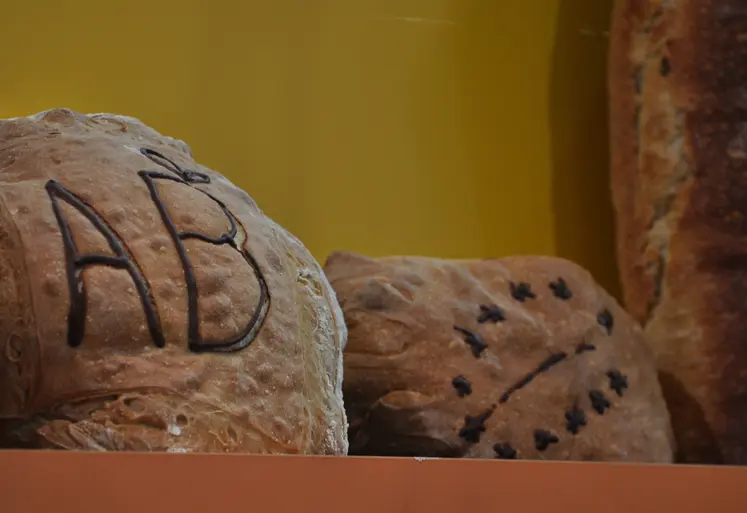 Pain issu de l'agriculture biologique avec les logos AB et le logo bio européen. 