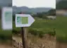 Panneau dans un champ avec les labels bio européen et AB  