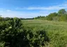 parcelle d'herbe entourée de haies et d'arbre