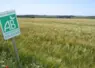 Panneau agriculture bio installé en bordure d'un champ