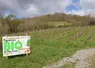 panneau en bordure de champ indiquant paysans bio