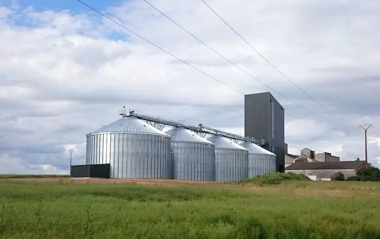 Les coopératives assurent de la visibilité aux céréaliers et des débouchés en alimentations humaine et animale. © DR