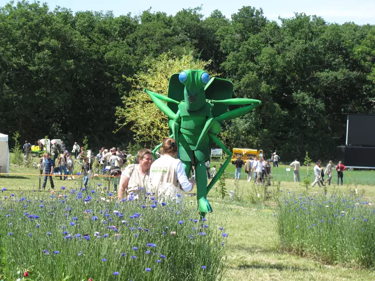 Evenement Les terrenales pour préserver la biodiversité.