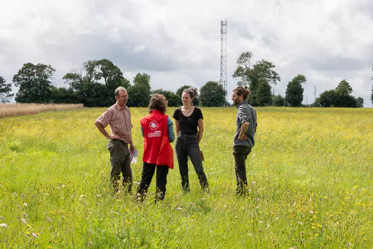 groupe de quatre personnes discutant dans une prairie