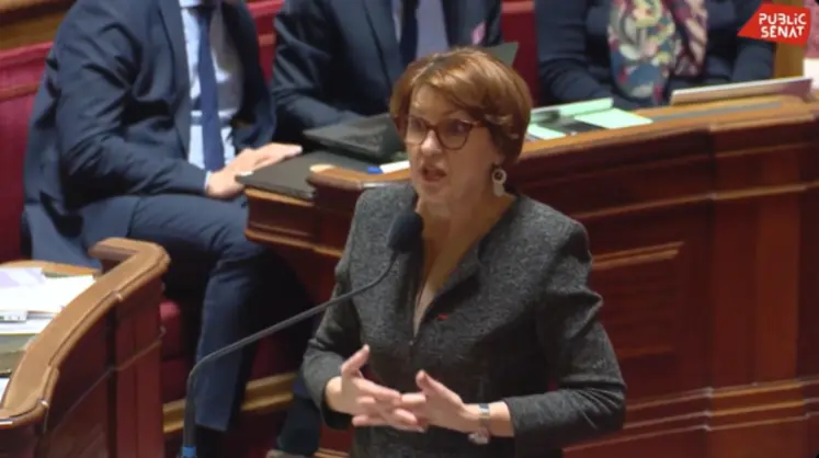 Capture d'écran d'Annie Genevard lors d'une déclaration au Sénat. 