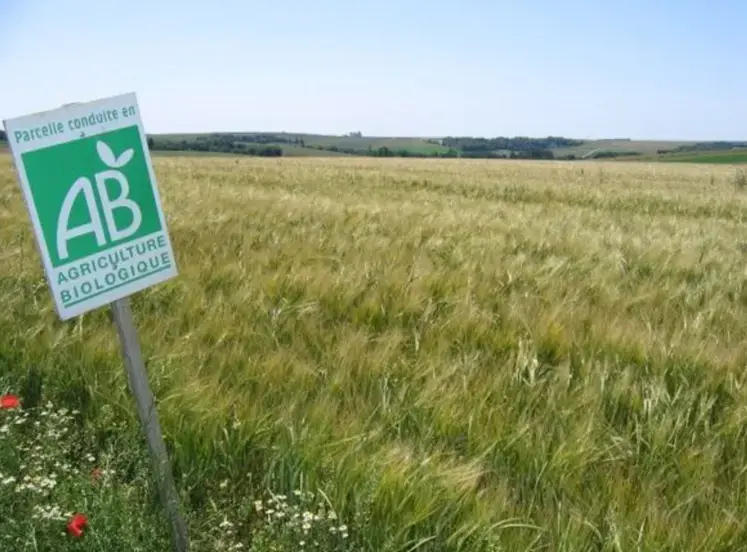 Champ de céréales bio, avec un panneau agriculture biologique. 