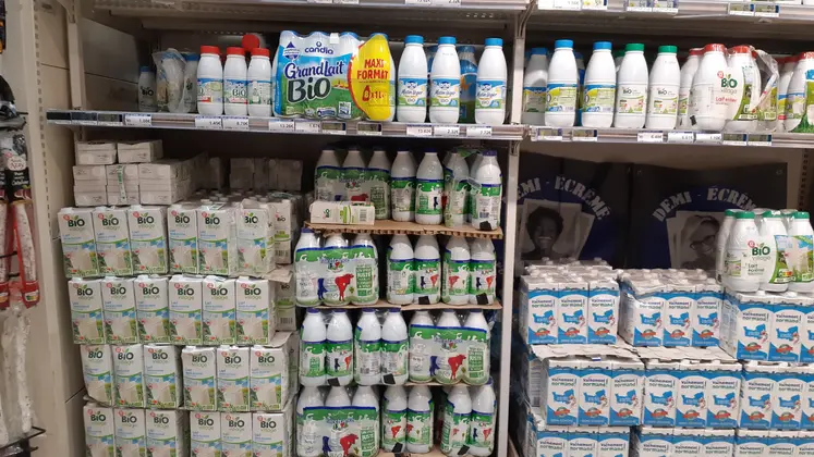 rayon lait bio dans une grande surface