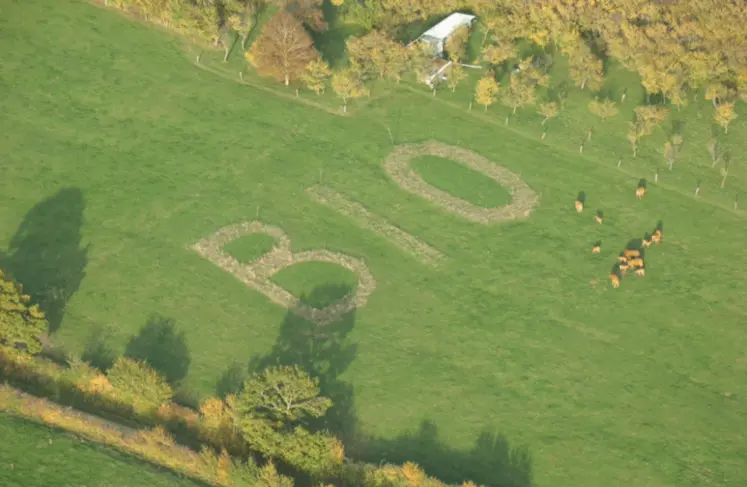 Photo aérienne montrant le mot bio inscrit dans un champ