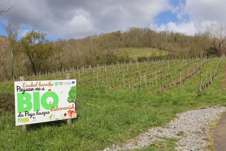 panneau paysan bio installé en bordure de vignes