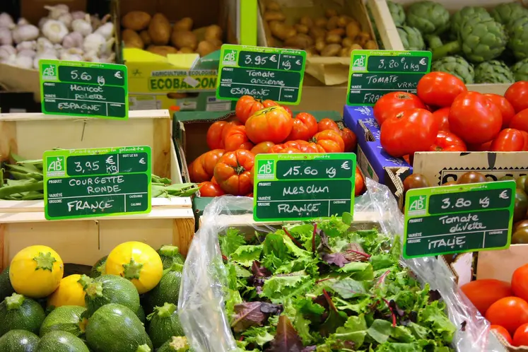 étal de fruits et légumes bio
