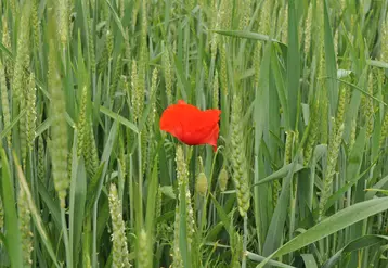 retard versement aides bio état reconnu fautif