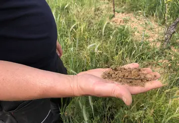 homme tenant une poignée de terre dans un champ