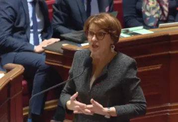 Capture d'écran d'Annie Genevard lors d'une déclaration au Sénat. 