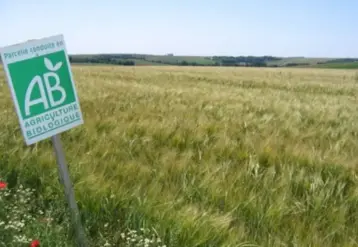 Panneau agriculture bio installé en bordure d'un champ