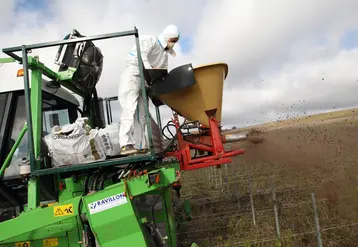 Salarié agricole apportant de l'engrais organique sur une parcelle de vigne en bio.