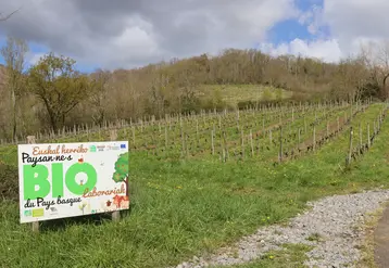 panneau paysan bio installé en bordure de vignes