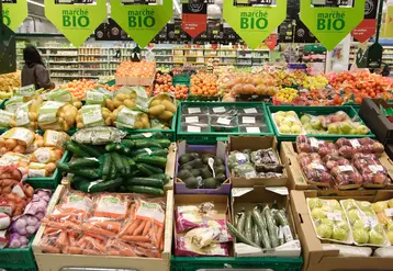 Vente de produits alimentaires biologiques en grande distribution. Rayon légumes bio d une grande enseigne de supermarché.