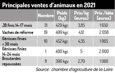 « Je valorise la génétique de mon troupeau charolais en finissant des animaux lourds »