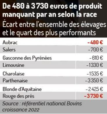 taux moyen de mortalité veaux races allaitantes