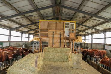<em class="placeholder">local suspendu dans une stabulation d&#039;élevage dans le Cantal</em>