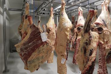 <em class="placeholder">Atelier de découpe et de transformation de la viande de la ferme Eben à Ver dans la Manche</em>