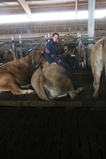 <em class="placeholder">Éleveuse assise sur une vache Aubrac. La vache est couchée sur une logette dans le bâtiment d&#039;élevage.</em>