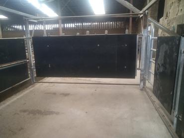 <em class="placeholder">installation de contention bovins viande</em>