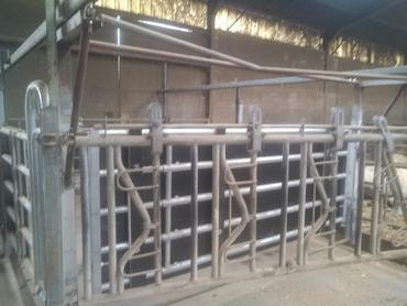 <em class="placeholder">Élevage bovins viande : « nous avons conçu notre contention en 3D »</em>