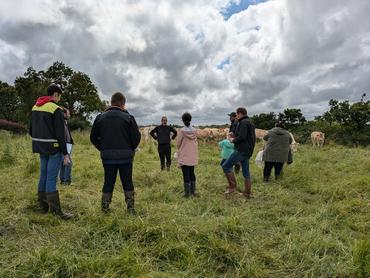 <em class="placeholder">Groupe d'éleveurs du GIEE "Les systèmes bovins viande à la pointe pour demain"
</em>