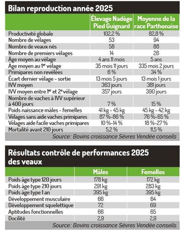 résultats reproduction génétiques sabot d'or