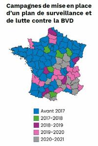 plan de lutte et de maitrise de la diarrhée virale bovine (BVD)