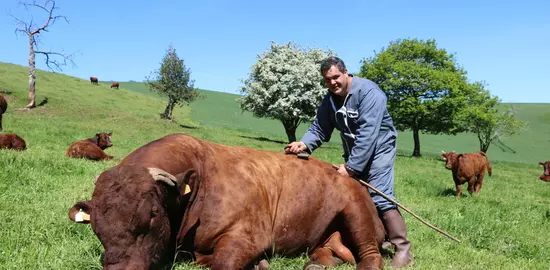 Matthieu Fages achète une moyenne d’un taureau salers par an dont certain en copropriété en accordant une importance particulière au caractère à l’image de Milan, 6 ans, (Fervent/Odon/Onyx) indexé à 115 en Isevr. Il est né au Gaec de la colline d’Urfé dans la Loire et acheté à la station de Saint Bonnet de Salers. © F. d'Alteroche