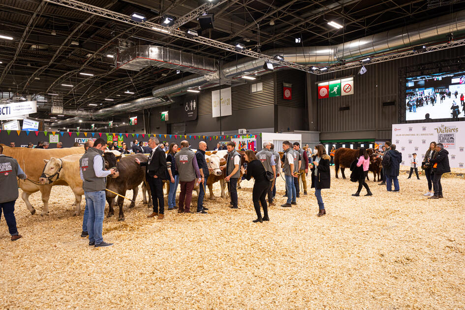 Salon De Lagriculture 2022 Le Palmarès Des Victoires Des Viandes De Bœuf Label Rouge 