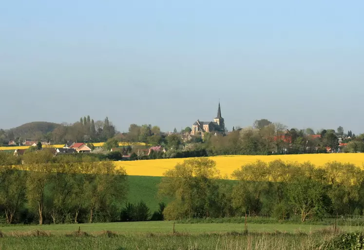 Paysage rural au printemps. village et terres agricoles. clocher. assolement. colza en fleurs et céréales. haie d'arbres. maison. maisons. habitat rural. terre agricole. ...