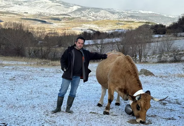 Christian Tallant, éleveur de 230 vaches aubracs à Osséja, dans les Pyrénées-Orientales, accuse plus de 80 % de pertes fourragères sur son exploitation. Il n'a pourtant ...