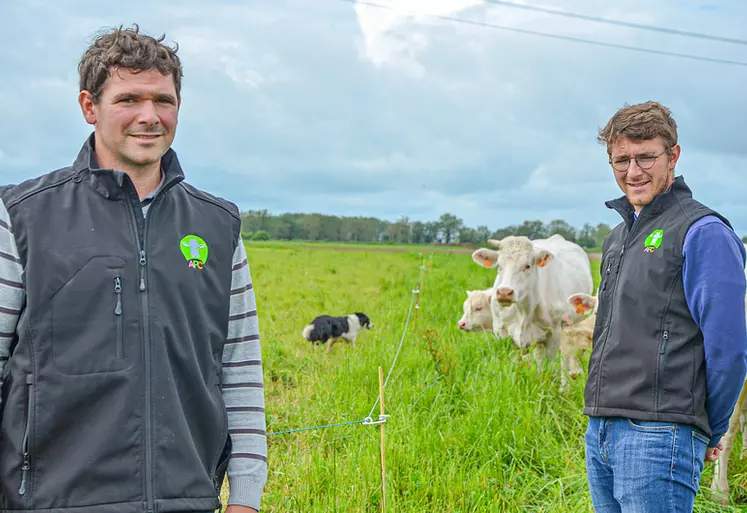 système polyculture élevage troupeau charolais Indre