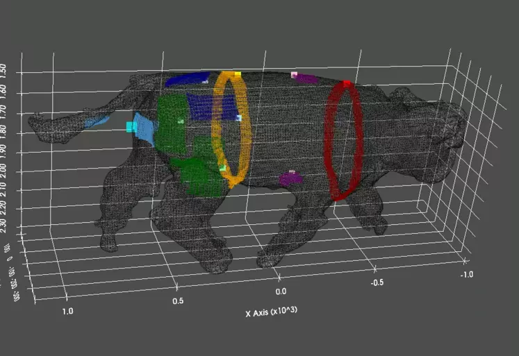 Le projet PHENO3D vise à mettre au point un dispositif de traitement automatisé (intelligence artificielle) et en temps réel d’images 3D pour extraire des phénotypes utilisés dans la filière bovin viande (le poids et les notes de pointages).