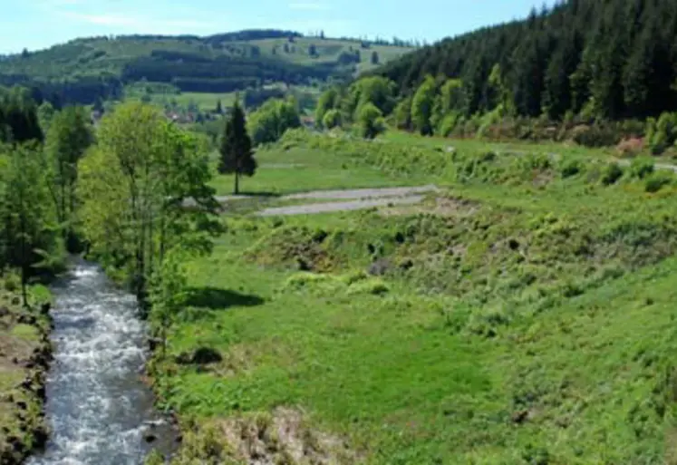 <em class="placeholder">L’AFP Entre les eaux (Bas-Rhin), en 2002. La réhabilitation des communaux par le pâturage et les pratiques pastorales a généré une augmentation considérable des ...</em>