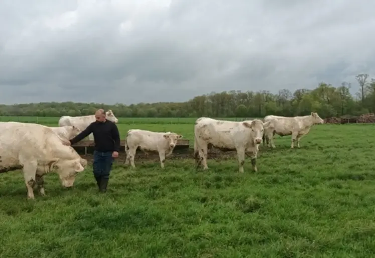 <em class="placeholder">Maxime Couillard, situé à Jauzé dans la Sarthe, 169 ha de SAU, 55 vêlages en race charolaise, 1 600 m² de volailles de chair</em>
