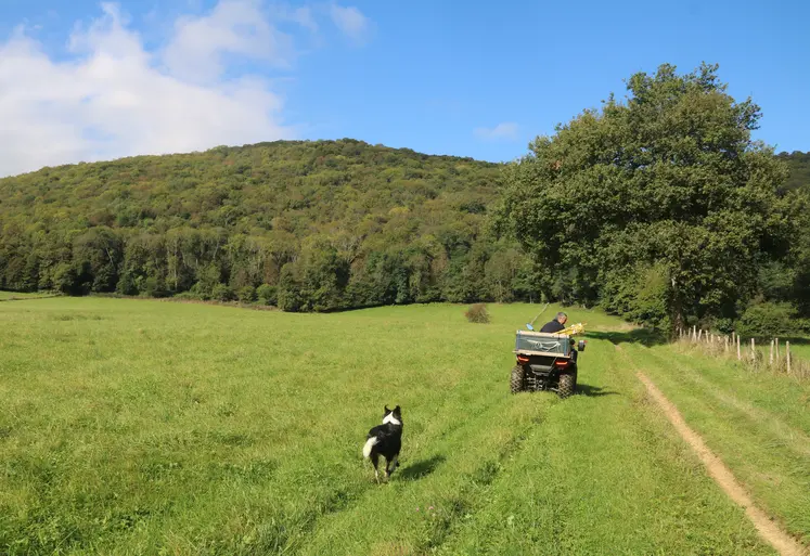 L'éleveur pose les clôtures mobiles depuis son quad dans une prairie naturelle, en Haute-Garonne