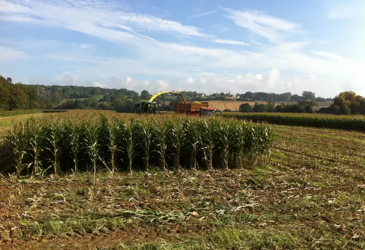 ensilage maïs sol lourd