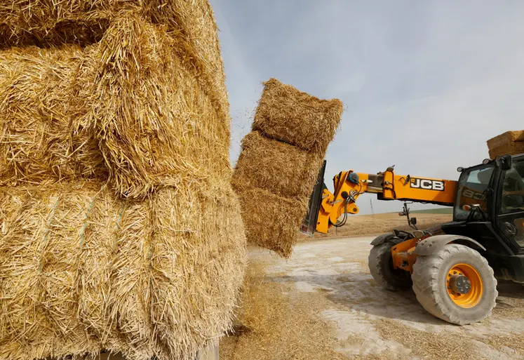 <em class="placeholder">Chantier de paille pendant les moissons dans le departement de la Marne. Chargement et dechargement de ballots de paille de ble. Engin Massey Ferguson 2170. </em>