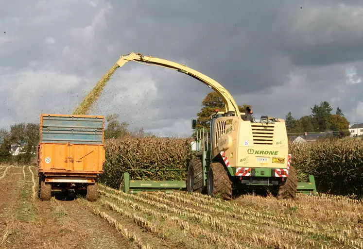 <em class="placeholder">Chantier d&#039;ensilage de maÃ¯s dans la Manche / ensileuse Krone BigX 800 bec 12 rangs / RÃ©colte du mais avant la pluie / ciel sombre chargÃ© de nuages  / I M G _ 9 6 1 6</em>